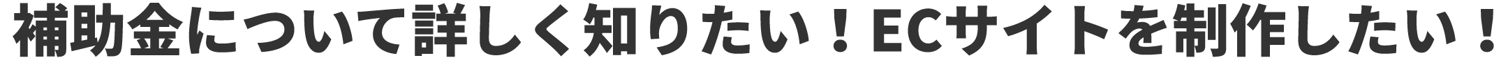 補助金について詳しく知りたい！ECサイトを制作したい！