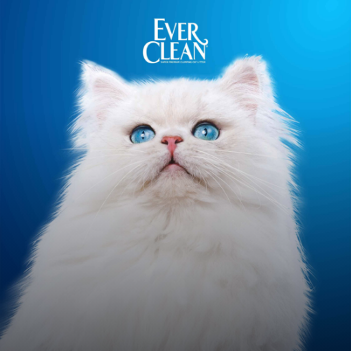 EVERCLEAN